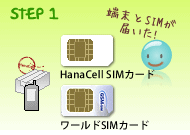 Step1: それぞれのSIMカードの使い方